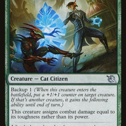 207-streetwisenegotiator