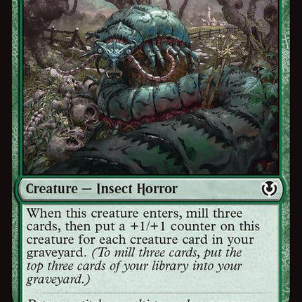 208-moldgrafmillipede