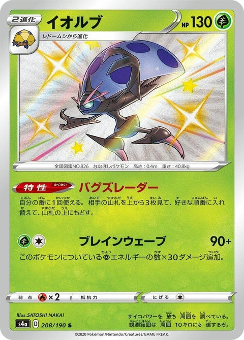 208-orbeetle