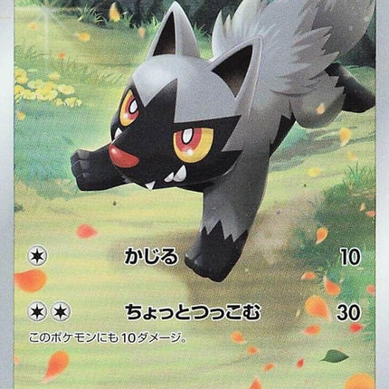 208-poochyena