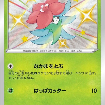 209-gossifleur