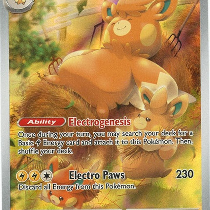 209-pawmot