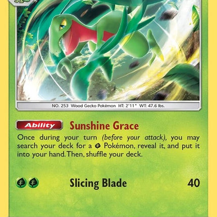 21-grovyle
