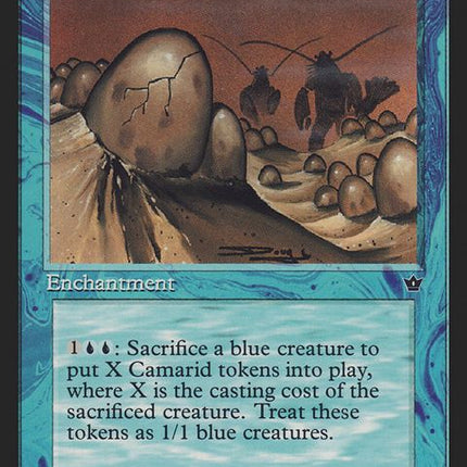 21-homaridspawningbed