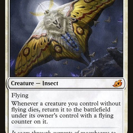 21-luminousbroodmoth