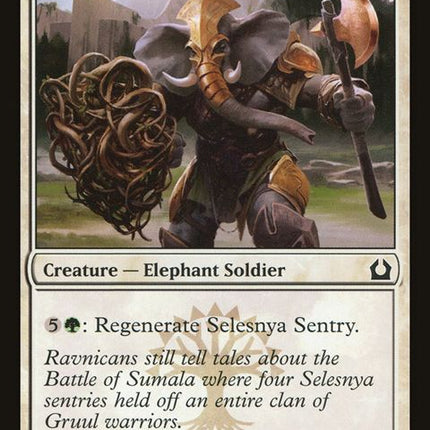 21-selesnyasentry