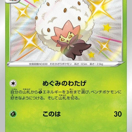 210-eldegoss