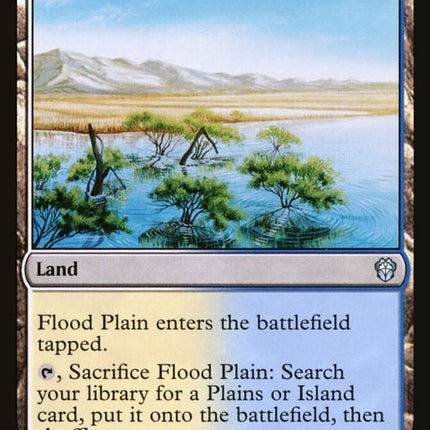 210-floodplain