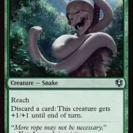 210-nooseconstrictor