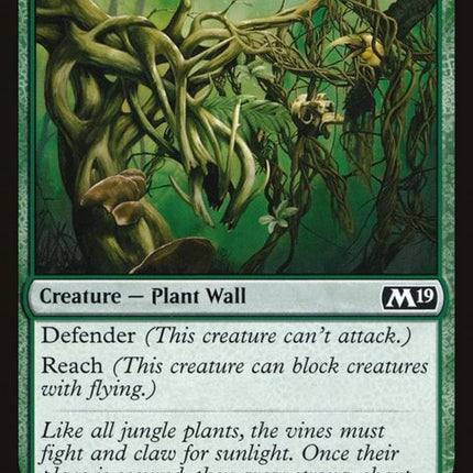 210-wallofvines