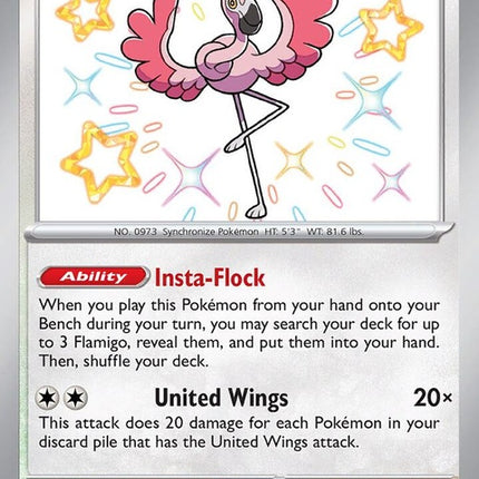 211-flamigo