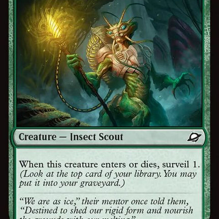 211-thawbringer