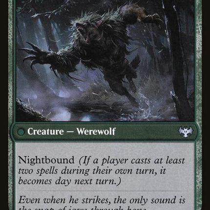 212-oakshadestalkermoonlitambusher
