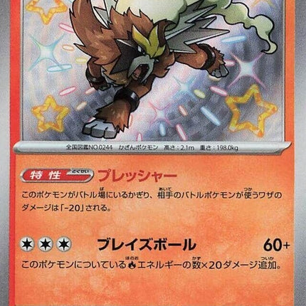213-entei
