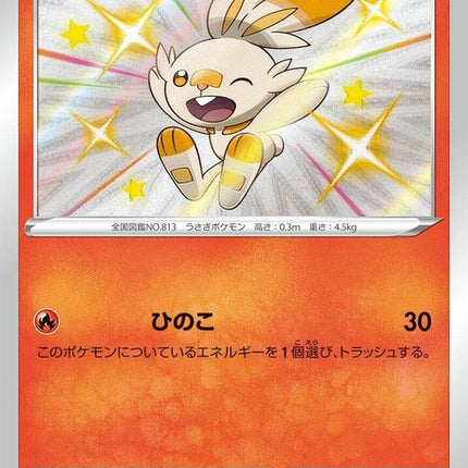 214-scorbunny