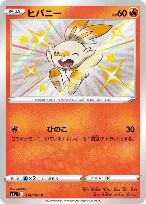 214-scorbunny