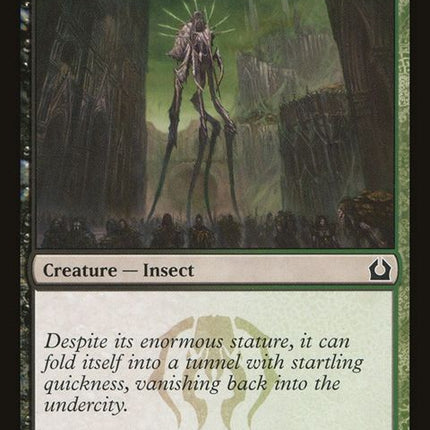 216-golgarilonglegs