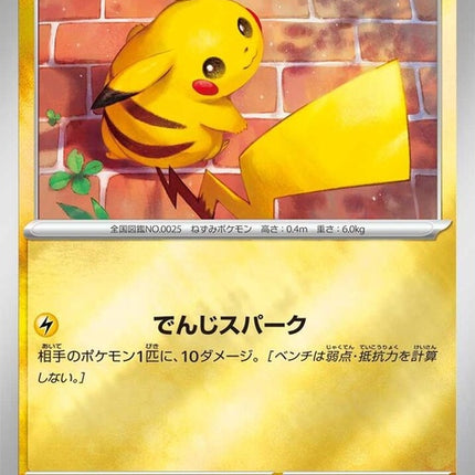 216-pikachu