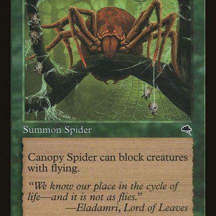 217-canopyspider
