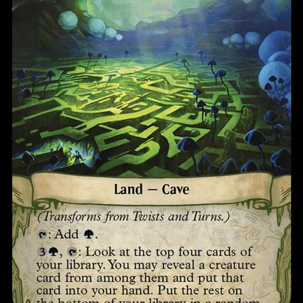 217-twistsandturnsmycoidmaze