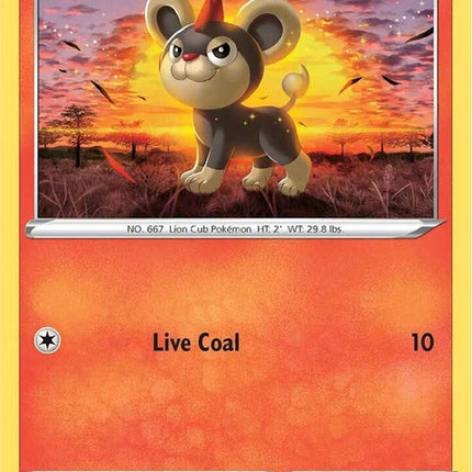 22-litleo
