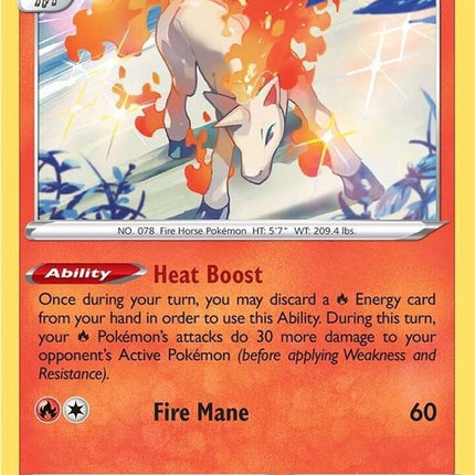 22-rapidash