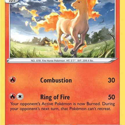 22-rapidash