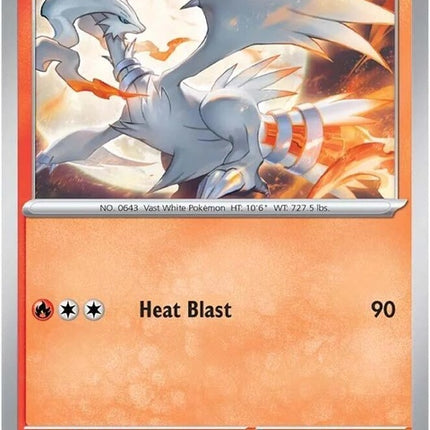 22-reshiram