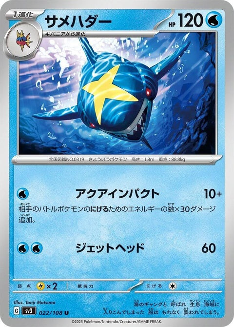 22-sharpedo