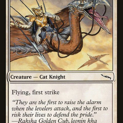 22-skyhunterpatrol