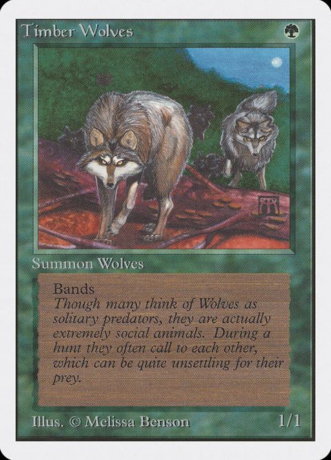 220-timberwolves