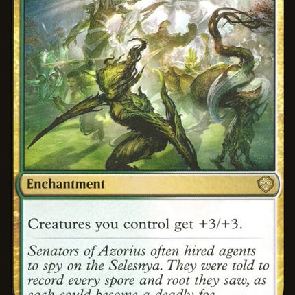 222-collectiveblessing