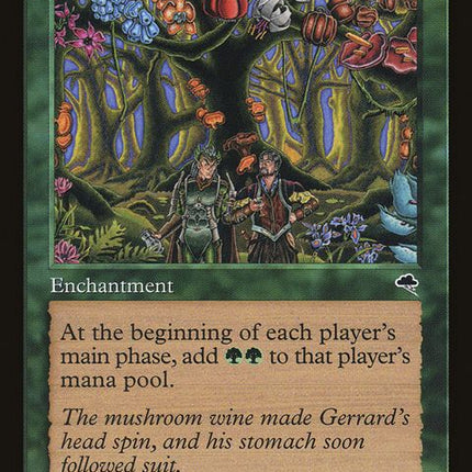 223-eladamrisvineyard