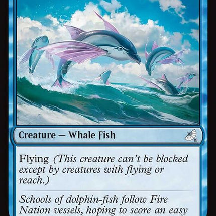 223-flyingdolphinfish