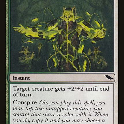 224-barkshellblessing