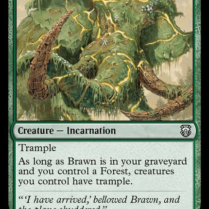 224-brawn