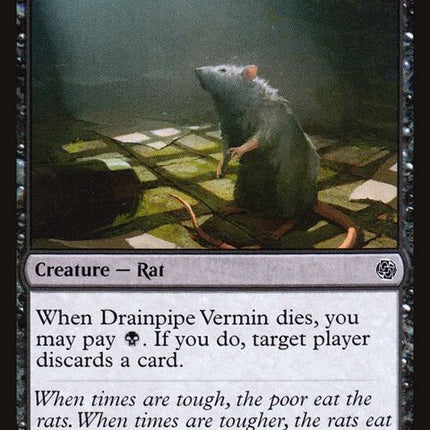 224-drainpipevermin