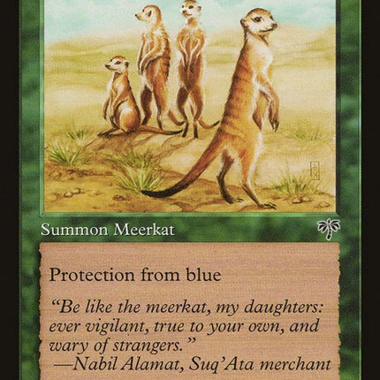 225-karoomeerkat