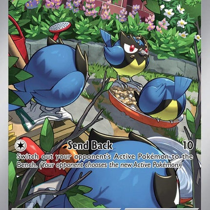 225-rookidee