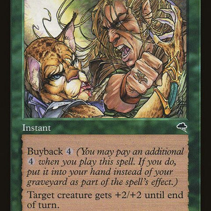 226-elvishfury