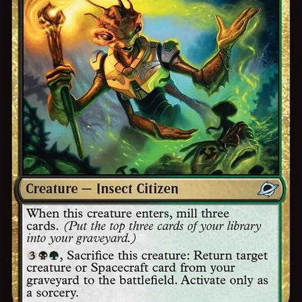 227-seedshipbroodtender