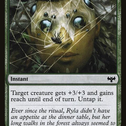 227-witchsweb