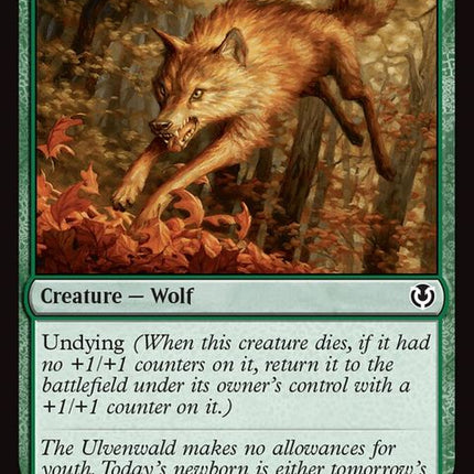 227-youngwolf