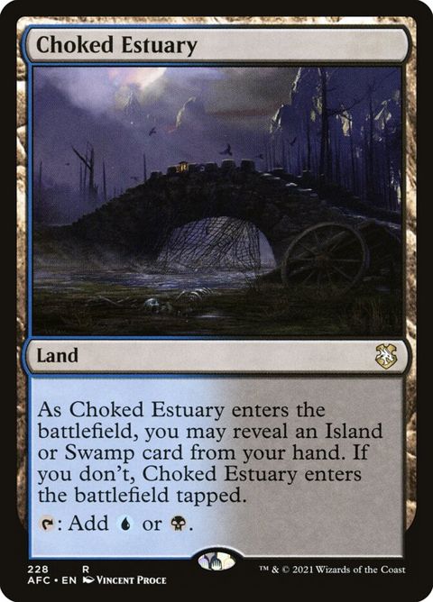 228-chokedestuary