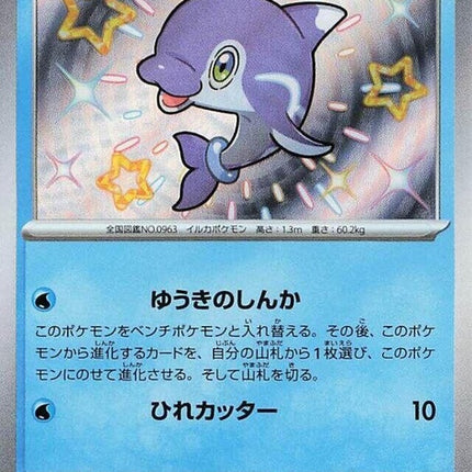 228-finizen
