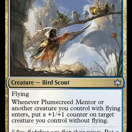 228-plumecreedmentor