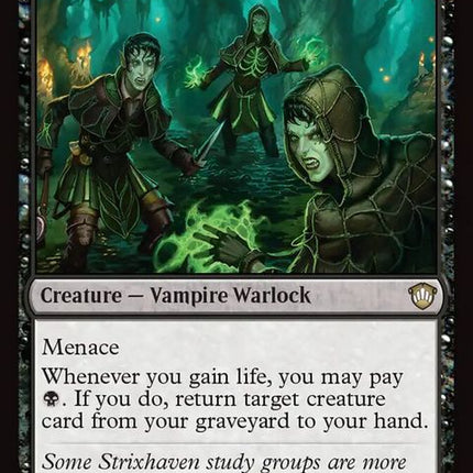 228-veinwitchcoven