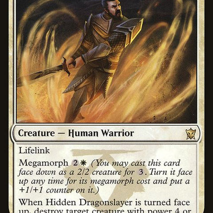 23-hiddendragonslayer