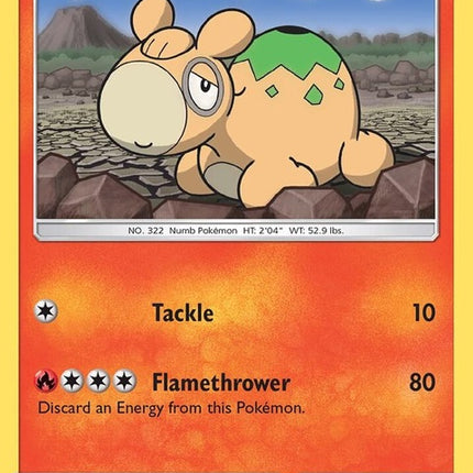 23-numel