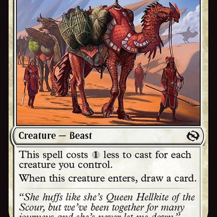 23-saltroadpackbeast